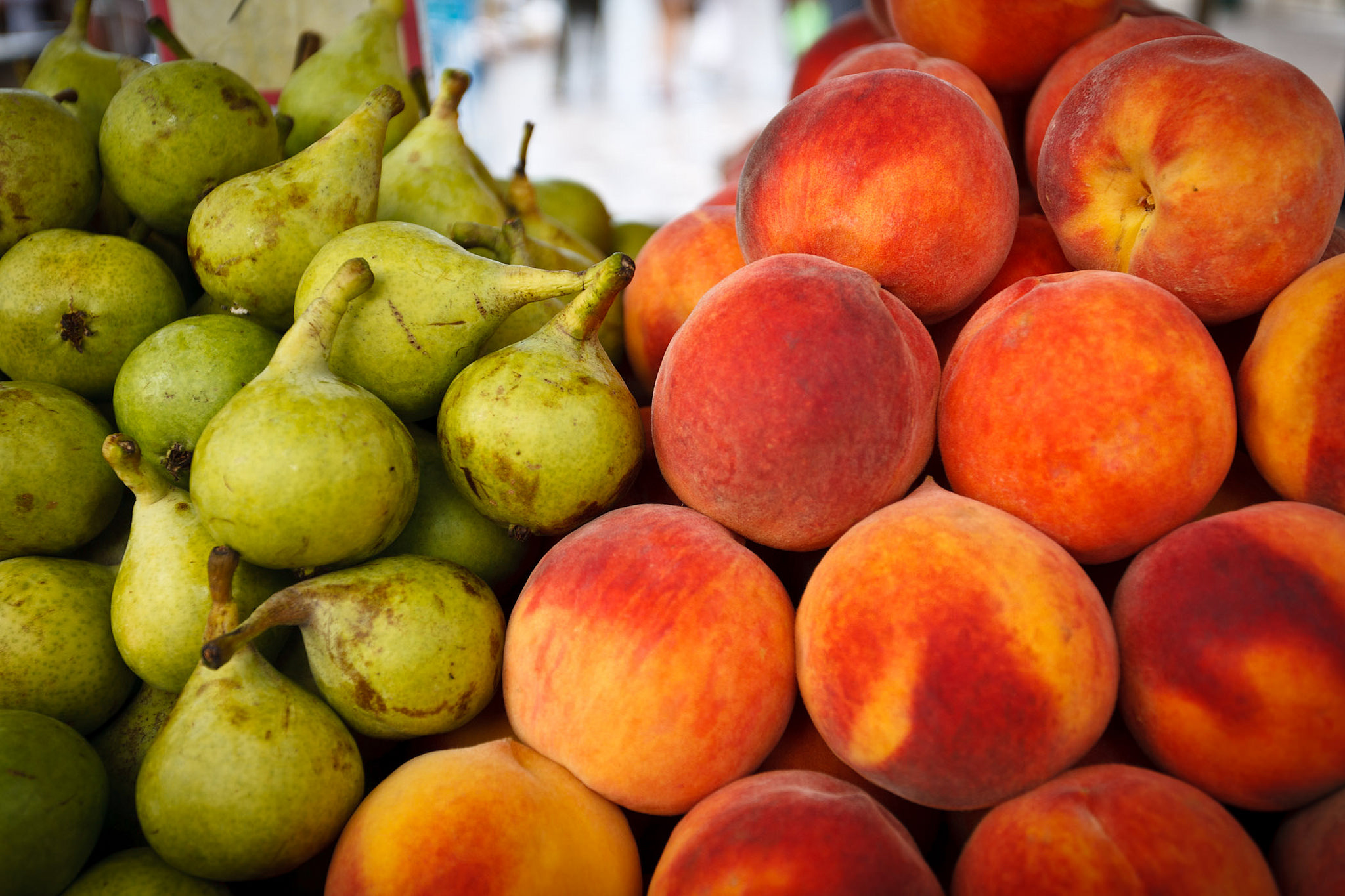 Tret d’inici de la campanya contra el malbaratament alimentari “El Valor dels Aliments”